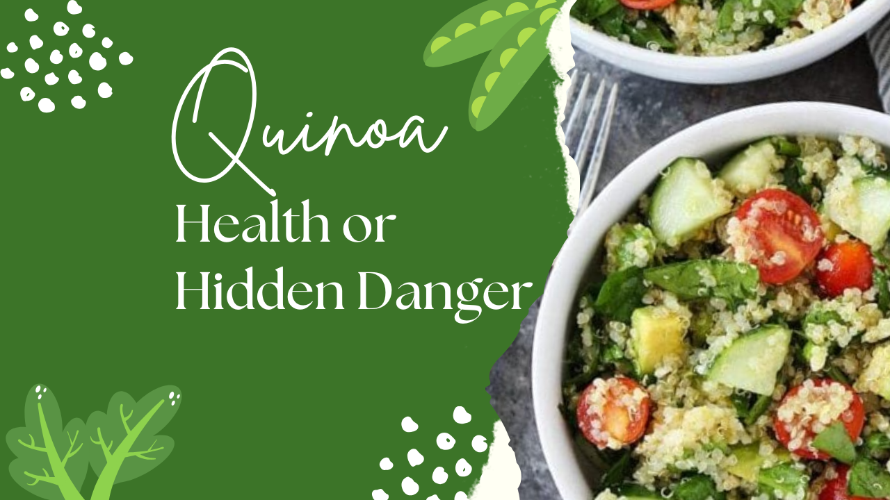 Quinoa Overload: Beware of Hidden Dangers in This Superfood, Vilasins, Vilasin Vibes